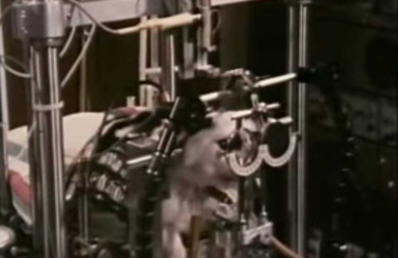 探针的记录示例