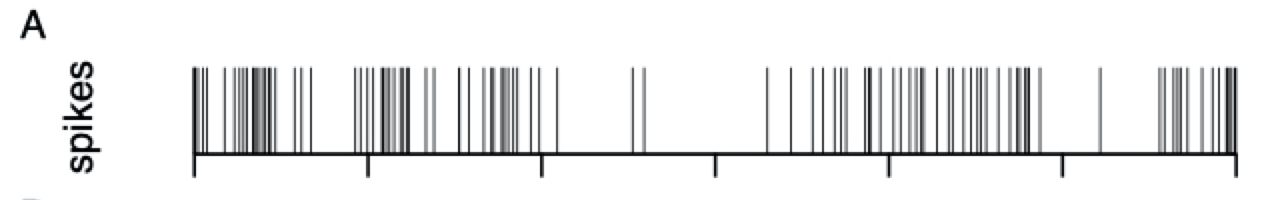 探针的记录示例