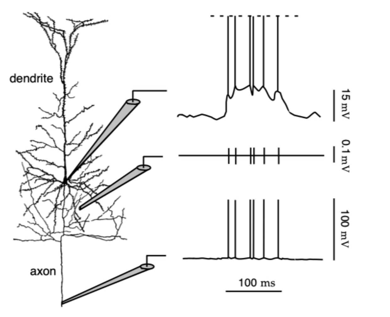 探针的记录示例