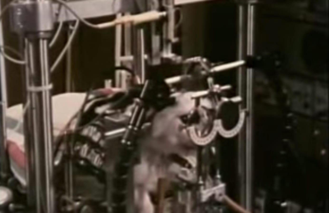 探针的记录示例