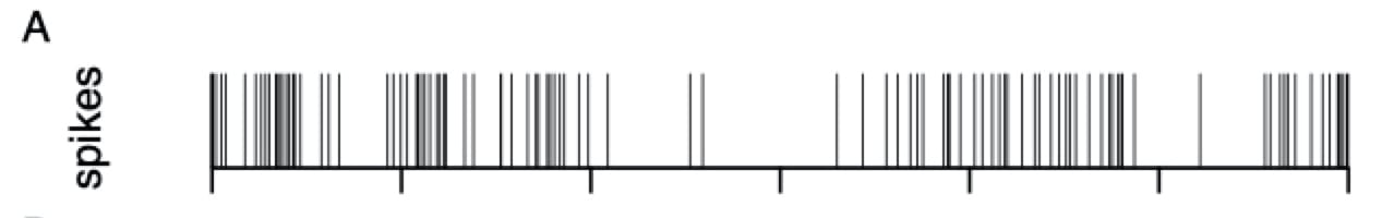 探针的记录示例